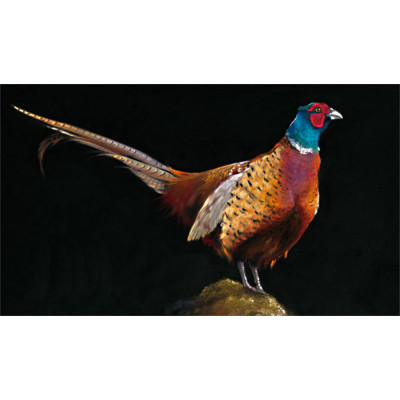 PHEASANT VIEW