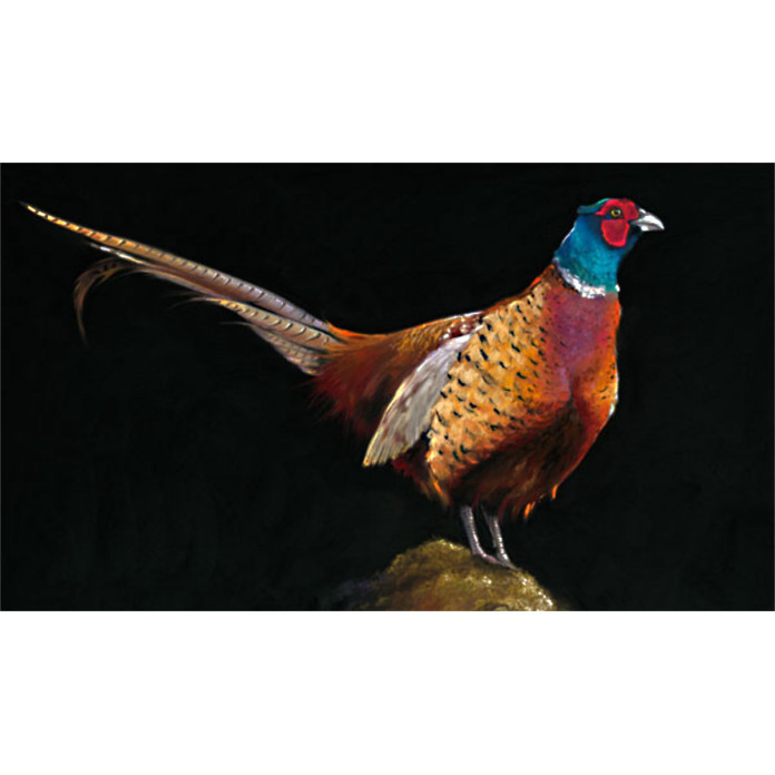 PHEASANT VIEW