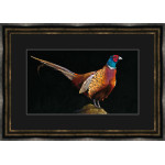 PHEASANT VIEW