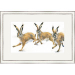 Playmates (Hares) - LGE