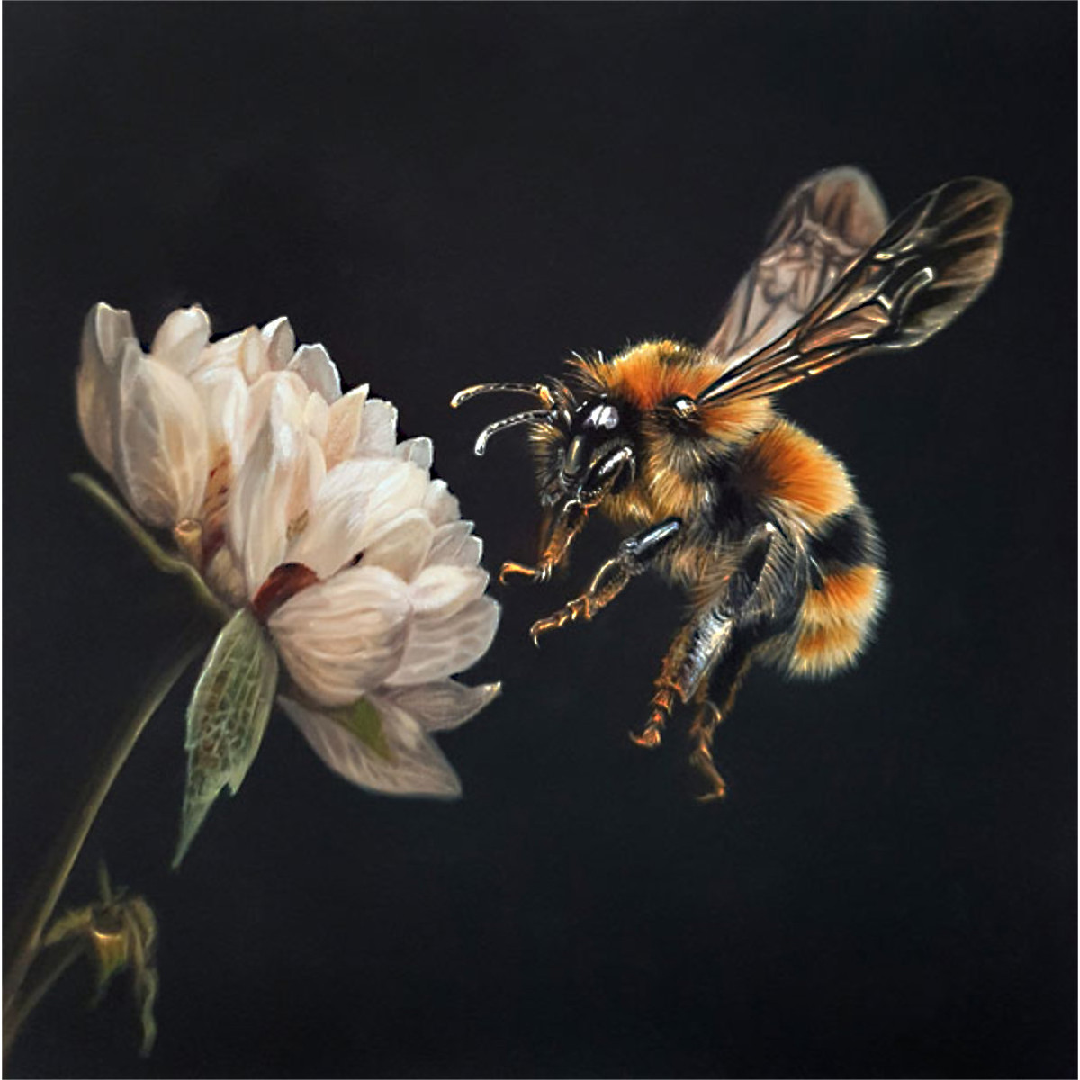 The Pollinator - Bee