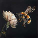 The Pollinator - Bee