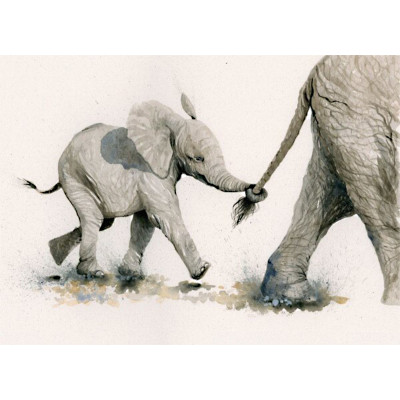 Pull The Other One (Elephants) - LGE