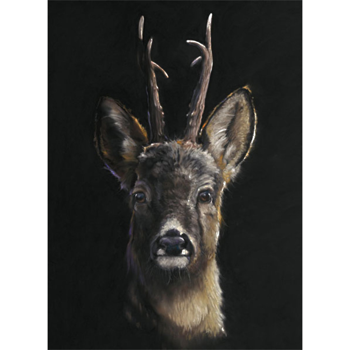 Roe Call - Roe Deer