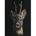 Roe Call - Roe Deer