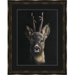 Roe Call - Roe Deer