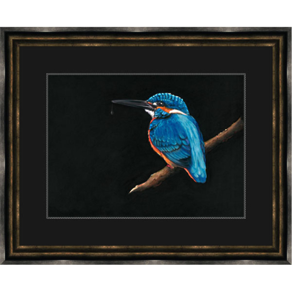 Royal Blue (Kingfisher) - (SML)