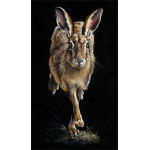 RUNNING LATE (HARE) - MED