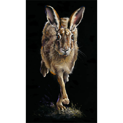 RUNNING LATE (HARE) - LGE