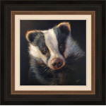 The Young Explorer - Badger