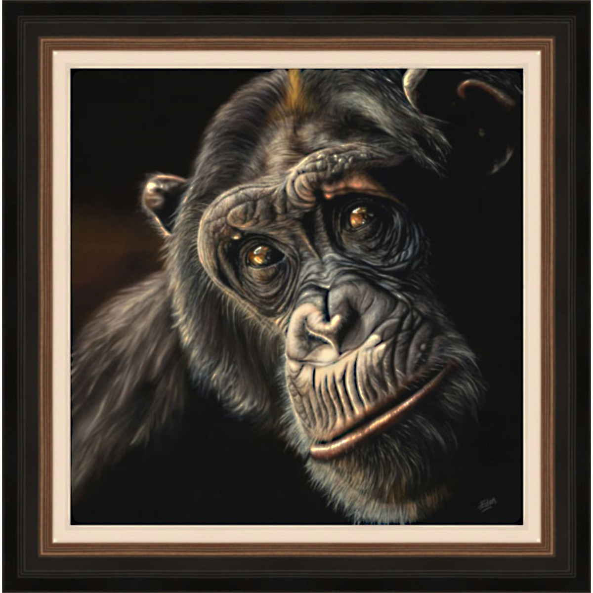 Reflection - Chimp