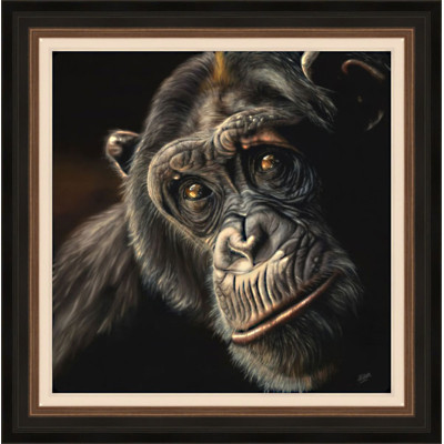 Reflection - Chimp