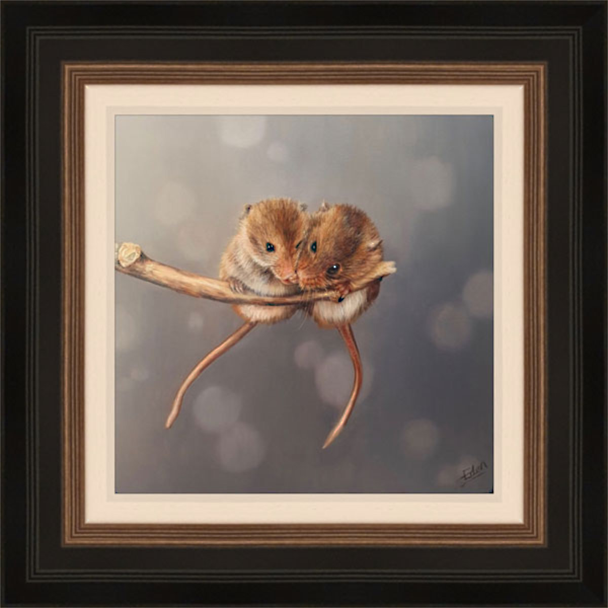 Bubble and Squeak - Dormice