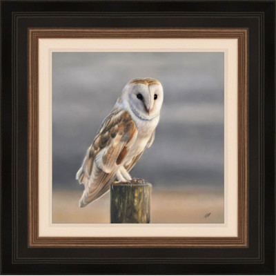 Serenity - Owl