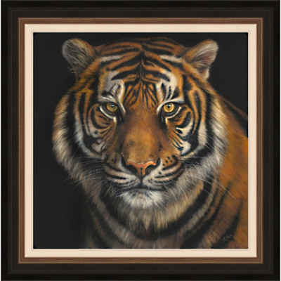 Hungry Eyes - Tiger