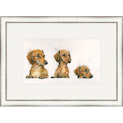 Sausages (Dachsunds) - SML