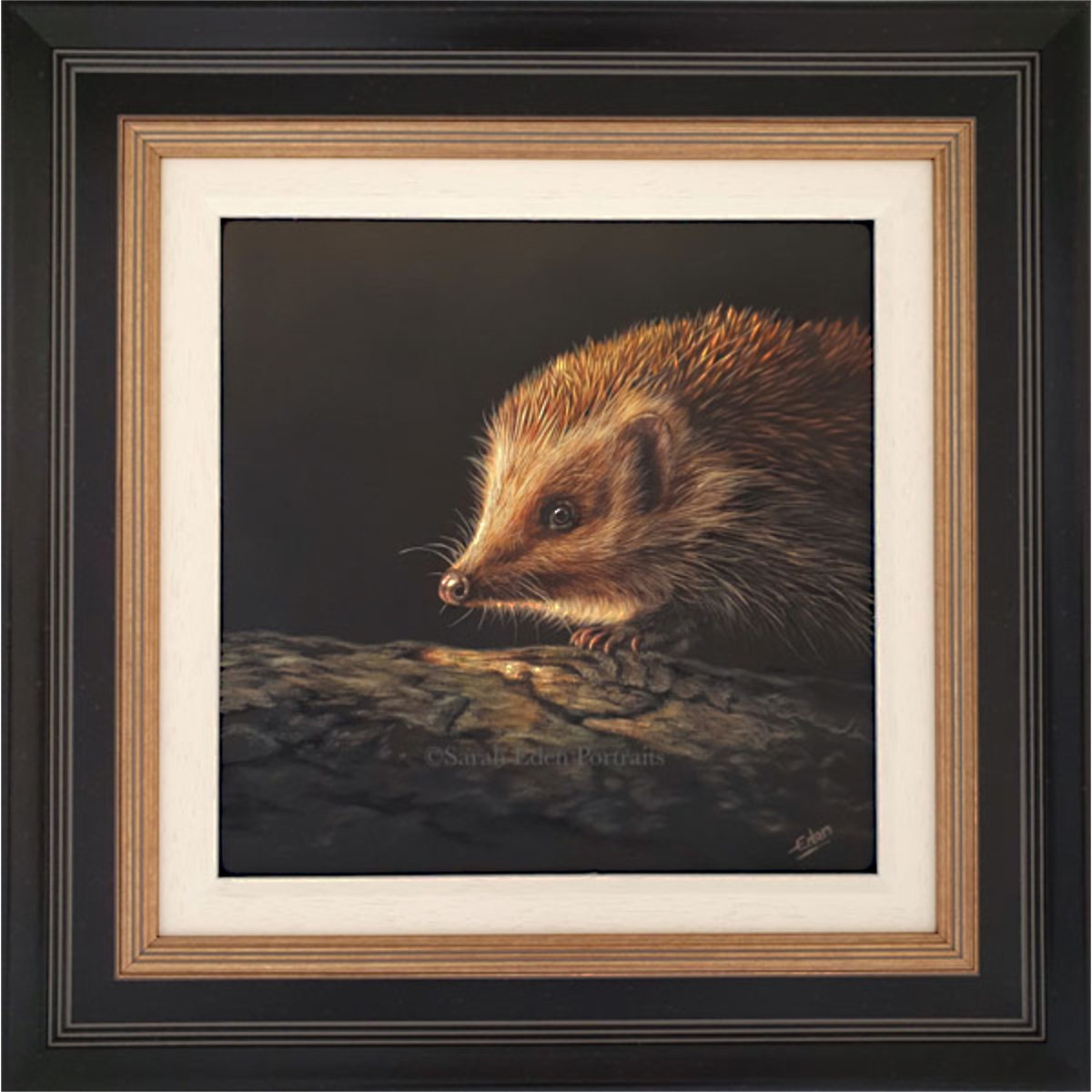 SCOUT - HEDGEHOG