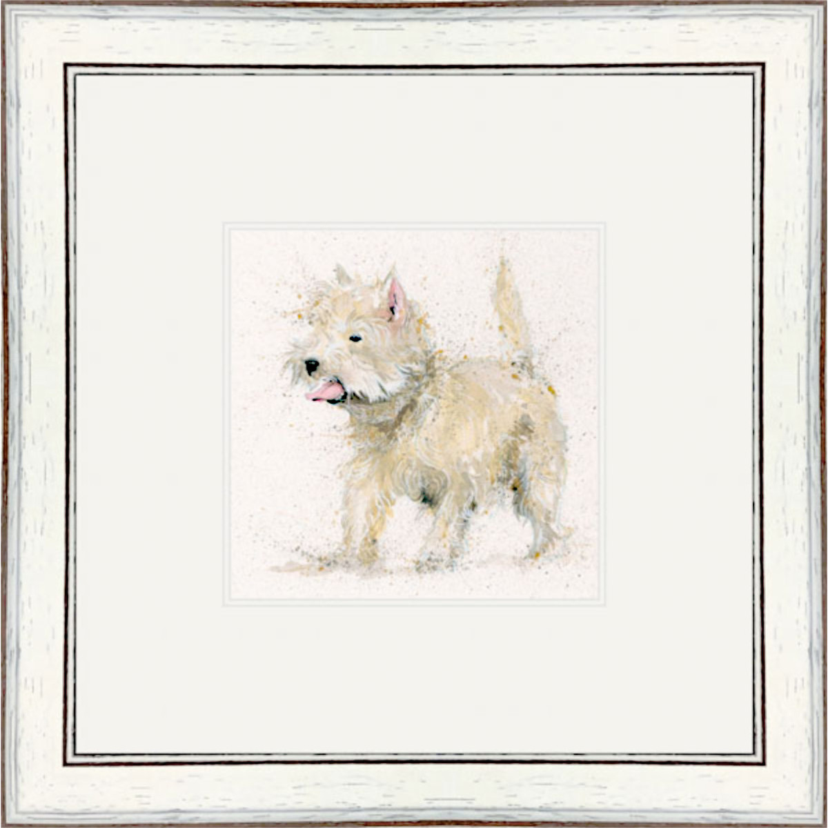 Scruff (Westie)