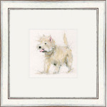 Scruff (Westie)