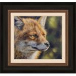 Focus - Fox