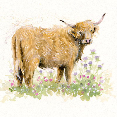 SHE'S GOT THE LOOK (HIGHLAND COW)