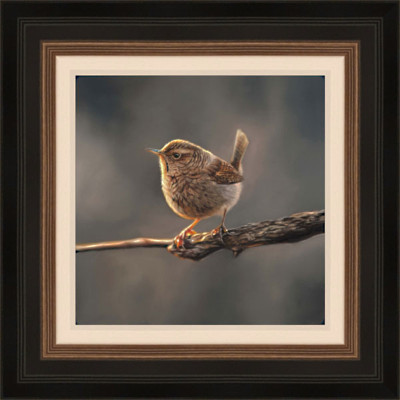 SMALL AND MIGHTY - WREN