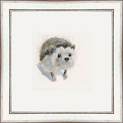 Spike (Hedgehog)