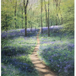 Spring Shadows