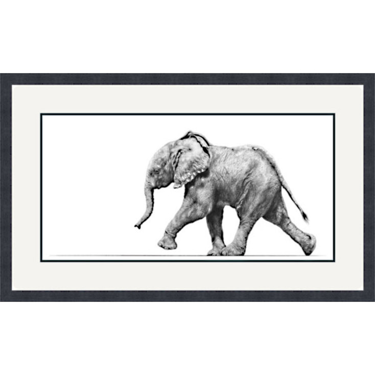 STRIDING OUT (AFRICAN ELEPHANT)