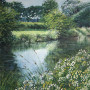 Summer In Bloom