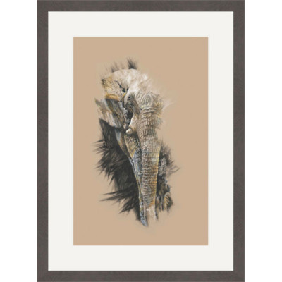 The Leader (Elephant)