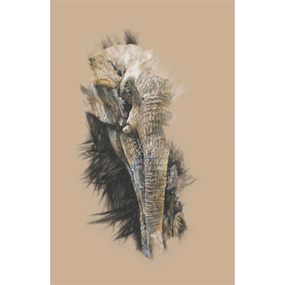 The Leader (Elephant)