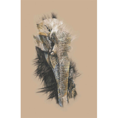 The Leader (Elephant)