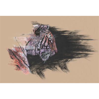 The Lookout (Tiger)