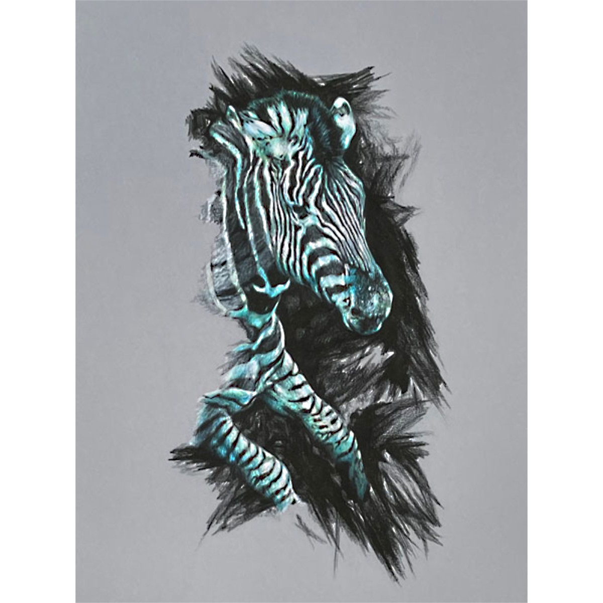 The Mover (Zebra)