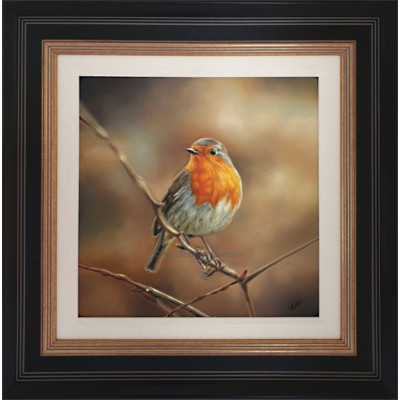 THE SPECTATOR - ROBIN