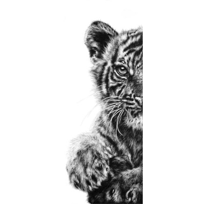 THE WATCHFUL HUNTRESS (SUMATRAN TIGER CUB)
