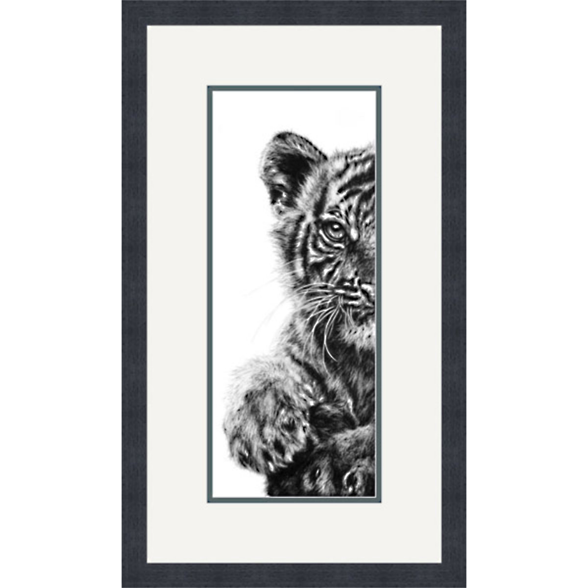 THE WATCHFUL HUNTRESS (SUMATRAN TIGER CUB)