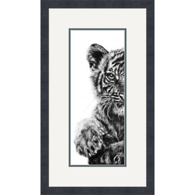 THE WATCHFUL HUNTRESS (SUMATRAN TIGER CUB)