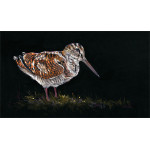 THE WOODCOCK