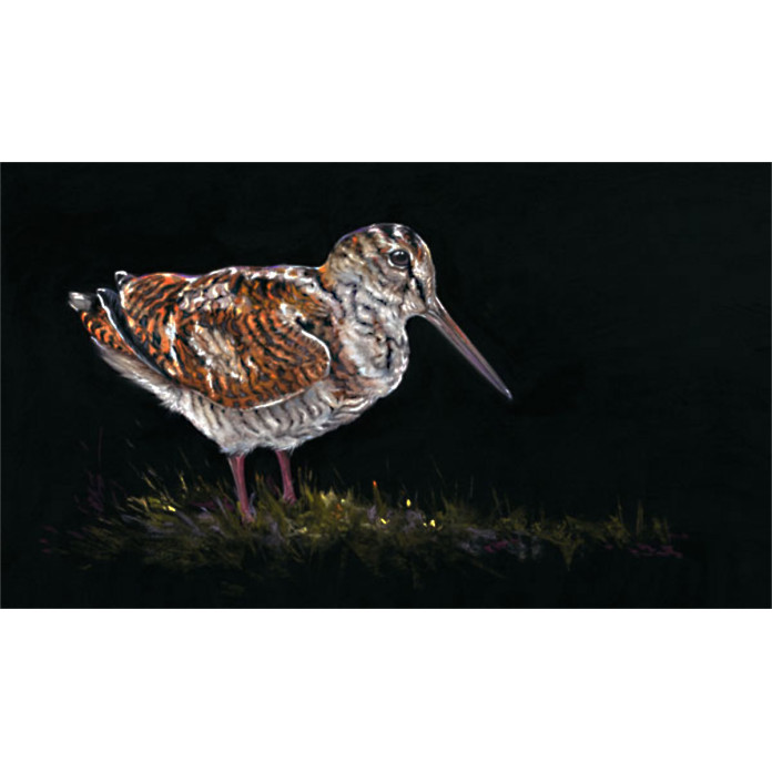 THE WOODCOCK