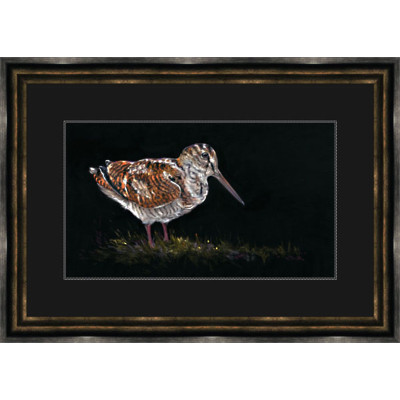 THE WOODCOCK