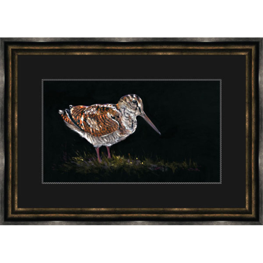 THE WOODCOCK