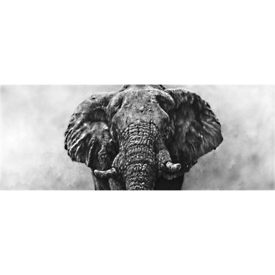 Thunder In The Dust (Elephant)