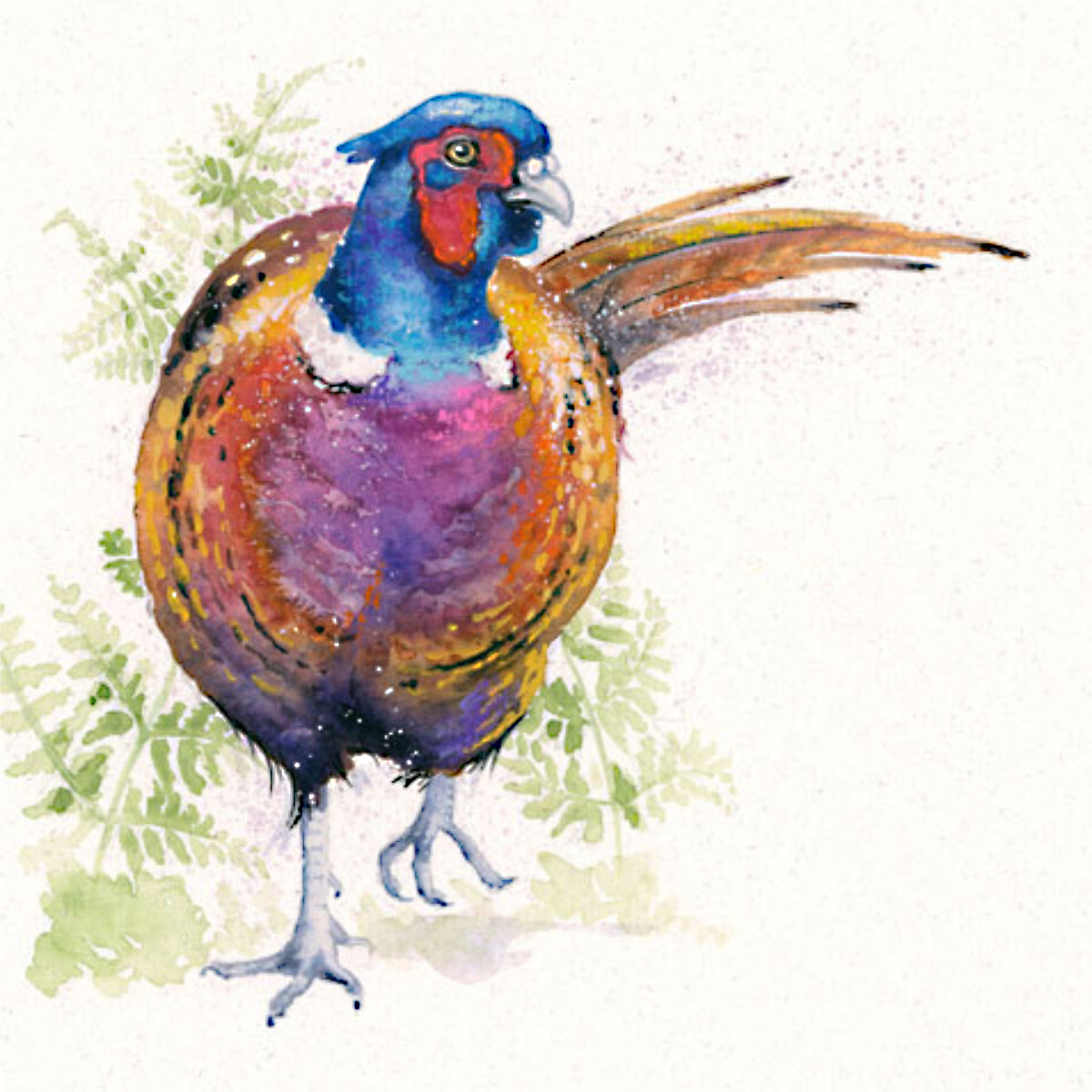 TO THE MANOR BORN (PHEASANT)