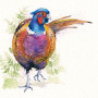 TO THE MANOR BORN (PHEASANT)