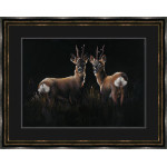 Two In A Roe - Roe Deer