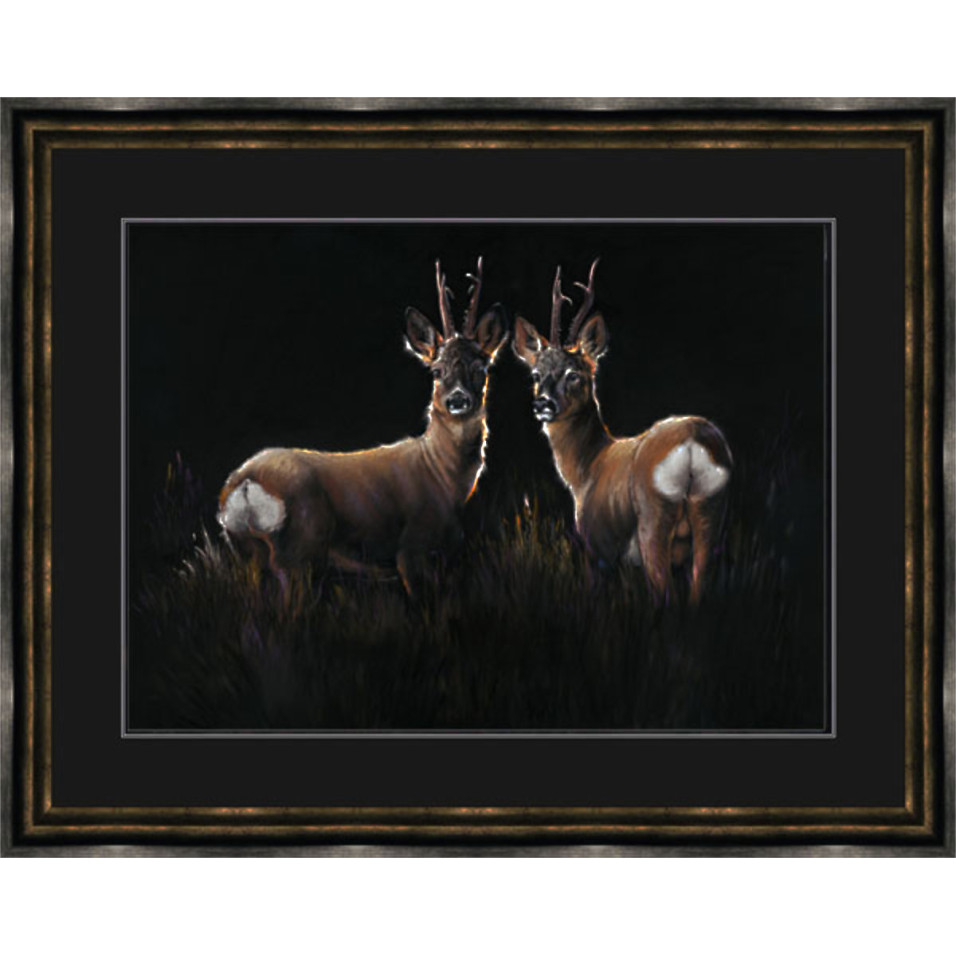 Two In A Roe - Roe Deer