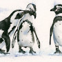 Two's Company (Penguins)