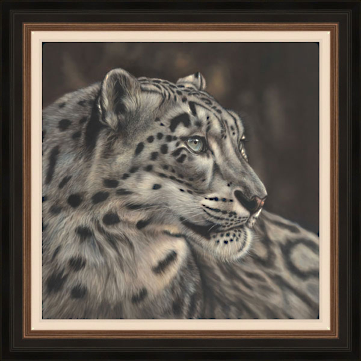 WINTERS EYE - SNOW LEOPARD